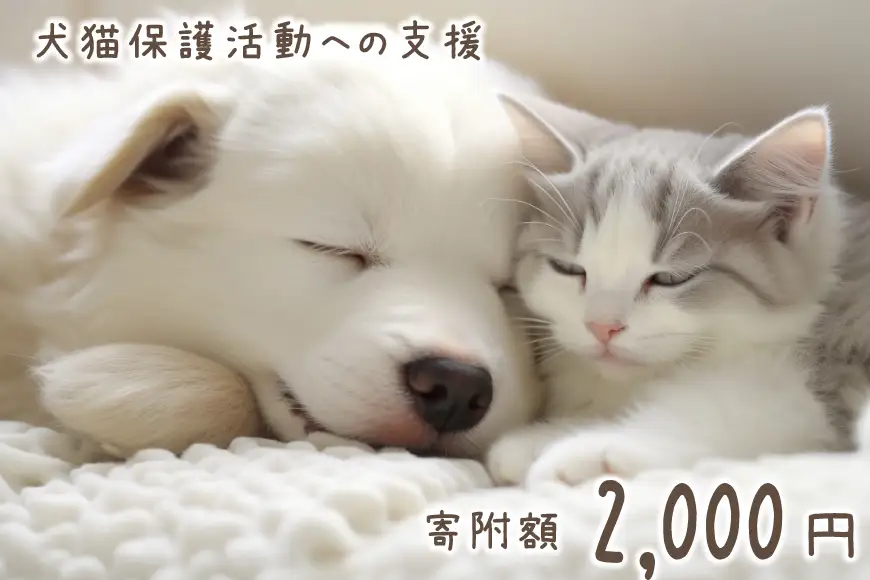 犬猫保護活動への支援 2000円