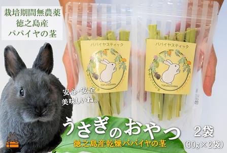 ～徳之島産乾燥青パパイヤの茎～うさぎのおやつ（2袋）( ペットフード うさぎ ウサギ パパイヤ おやつ ペット 徳之島 鹿児島 安心 安全 乾燥 世界自然遺産 アマミノクロウサギ レターパックライト ポスト投函 受取り簡単 )