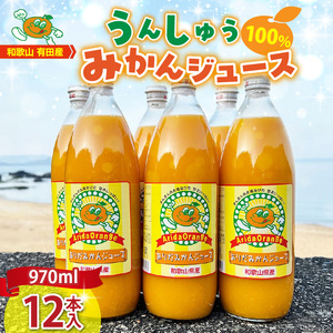 和歌山有田産100% うんしゅうみかんジュース 970ml × 12本セット_ZJ6061