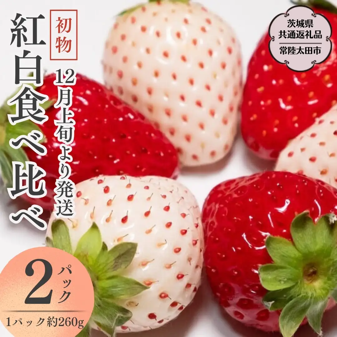 《 先行予約 》朝摘み 初物 紅白いちご 約260g×2パック (茨城県共通返礼品 常陸太田市) 先行予約 檜山いちご園 国産 朝採り 朝採れ 大粒 いちご イチゴ 苺 くだもの 果物 フルーツ 冬 春 旬 [DY017sa]