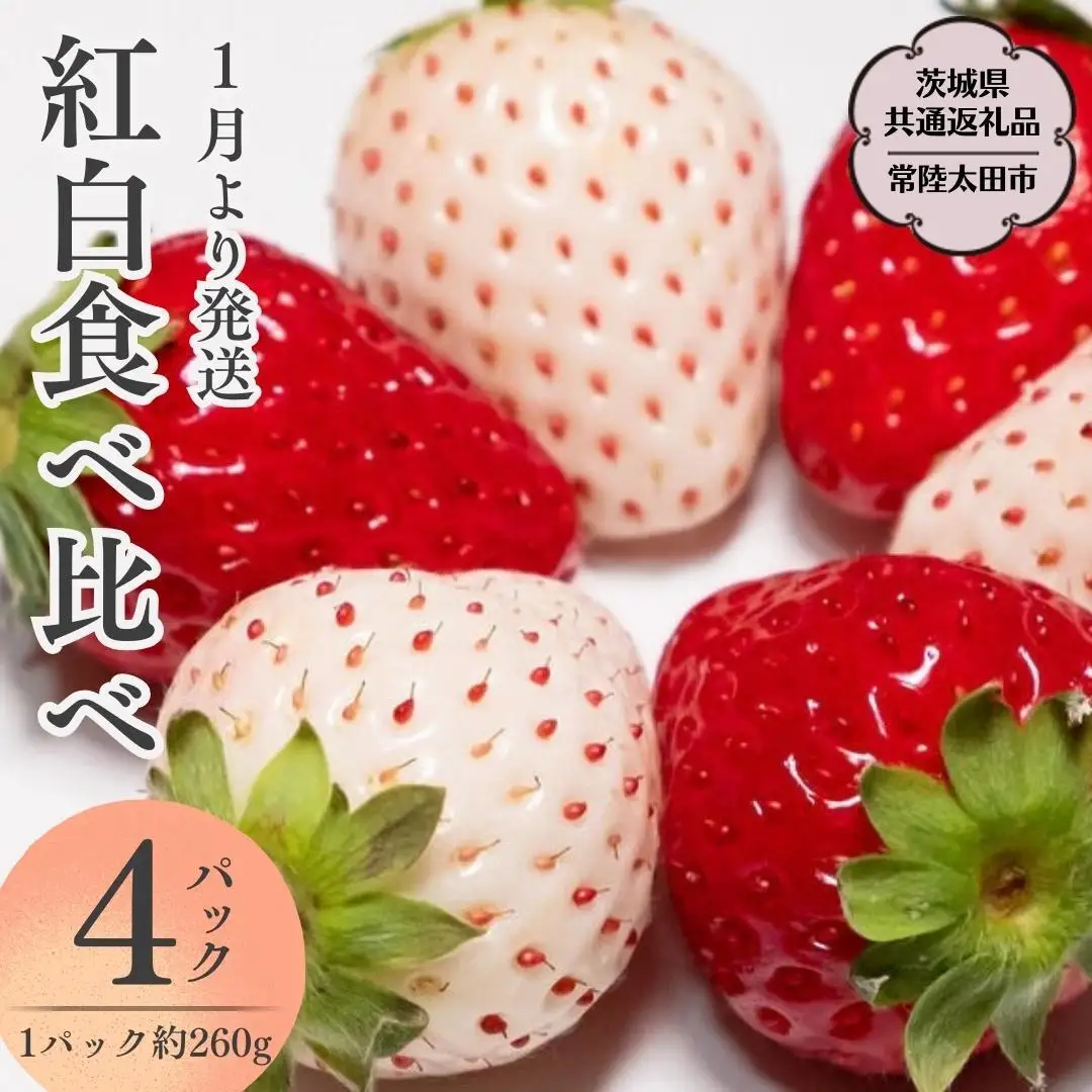 朝摘み 紅白いちご 約260g×4パック