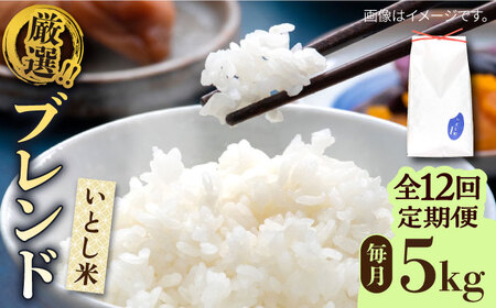 【全12回定期便】いとし米 厳選ブレンド 5kg×12回(糸島産) 糸島市 / 三島商店 [AIM037] 米 白米