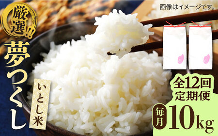 【全12回定期便】いとし米 厳選夢つくし 10kg×12回 (糸島産) 糸島市 / 三島商店 [AIM049] 米 白米