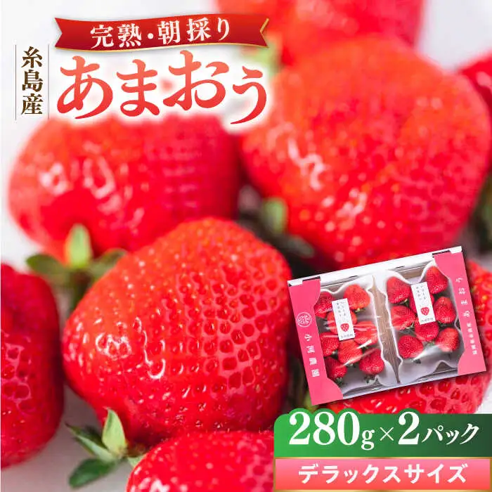 【先行受付】糸島産 完熟あまおう 280g×2パック (デラックスサイズ) 【2027年1月以降順次発送】糸島市 / 小河農園 いちご フルーツ 果物 [AJN001]