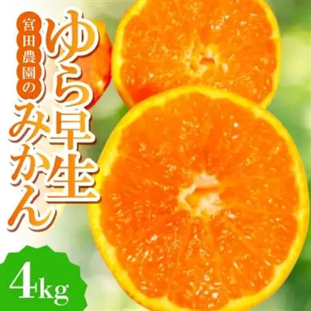 【ゆら早生】宮田農園の温州みかん　4kg【1353531】