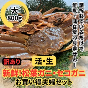 【22020】鳥取網代港【訳あり】活！松葉ガニ・セコガニセット（大）※お届けは2026年11月中旬～【さかなや新鮮組】