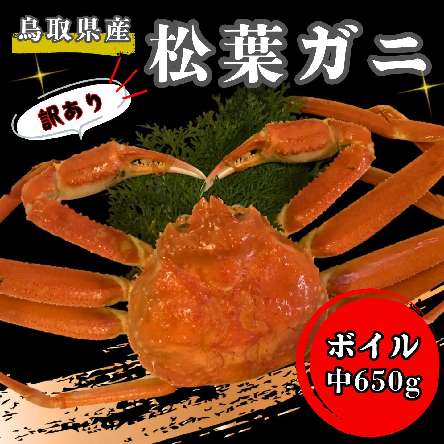 【'26先行予約】[訳あり]足１本なしボイル松葉ガニ（中６５０ｇ）【魚倉】 [179-2]