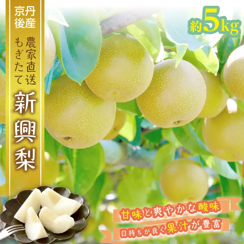【数量限定】京都丹後産 新興梨 5kg（2026年10月下旬～発送） | 梨