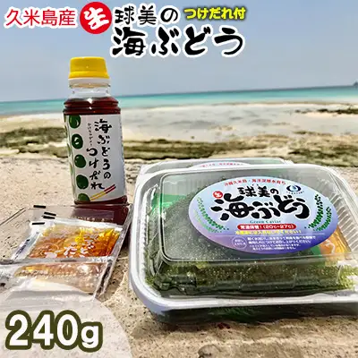 海ぶどう 球美の”生”海ぶどう（80g×3個+つけだれ）
