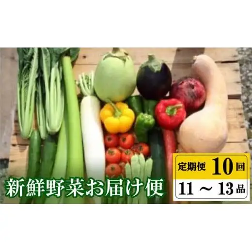 【早期予約】 野菜定期便10ヶ月