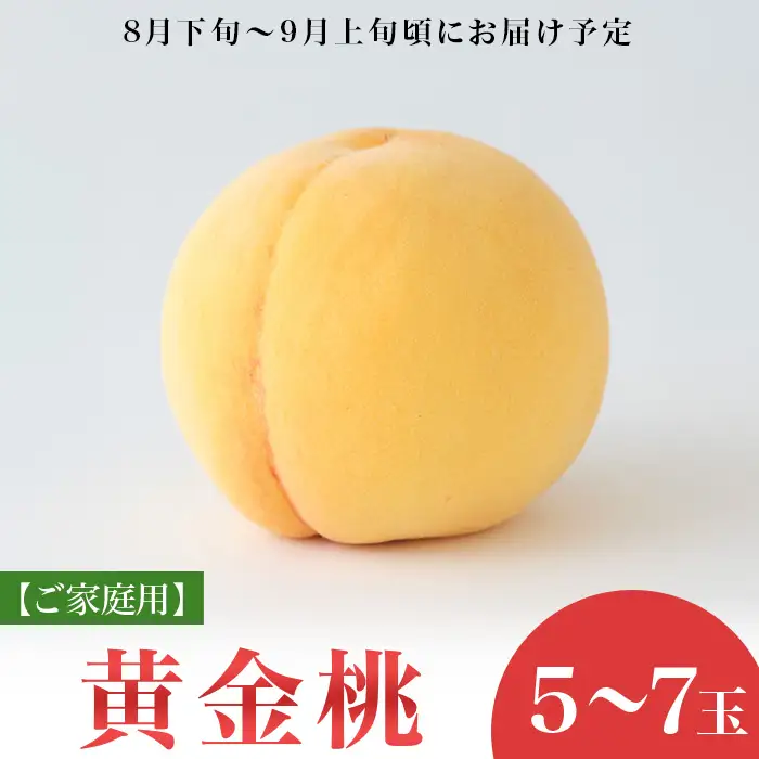 【ご家庭用】岡山県産 黄金桃 5～7玉【2027年8月下旬頃から順次発送】