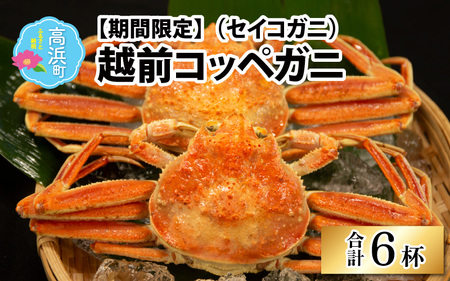 【先行予約】【数量・期間限定】福井県産 越前コッペガニ（セイコガニ）×6杯【急速冷凍】（プロトン凍結）【11月下旬より発送】
