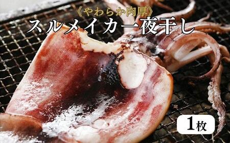 柔らか肉厚の スルメイカ 一夜干し 1枚[ 国産 干物 肴 つまみ イカ ] myz02 myz11 myz17