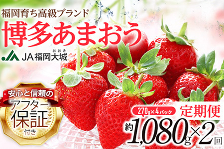 【定期便】博多あまおう 福岡県JAグループのブランドあまおういちご 1080g（約270g×4パック）×2回 ※2026年2月・3月お届け アフター保証 いちご 博多あまおう JAグループ  おすすめ 苺 大木町 JA福岡大城 不揃い フルーツ 果物 AG013