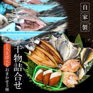 南知多町・美浜町共通返礼品 魚太郎名物 とろさば 入 自家製 ひもの 5種 おまかせセット 魚魚魚