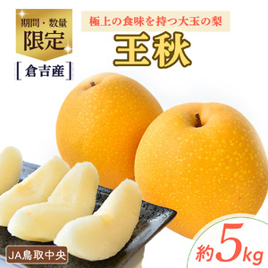 王秋 梨 【倉吉産】5kg（JA鳥取中央） 梨