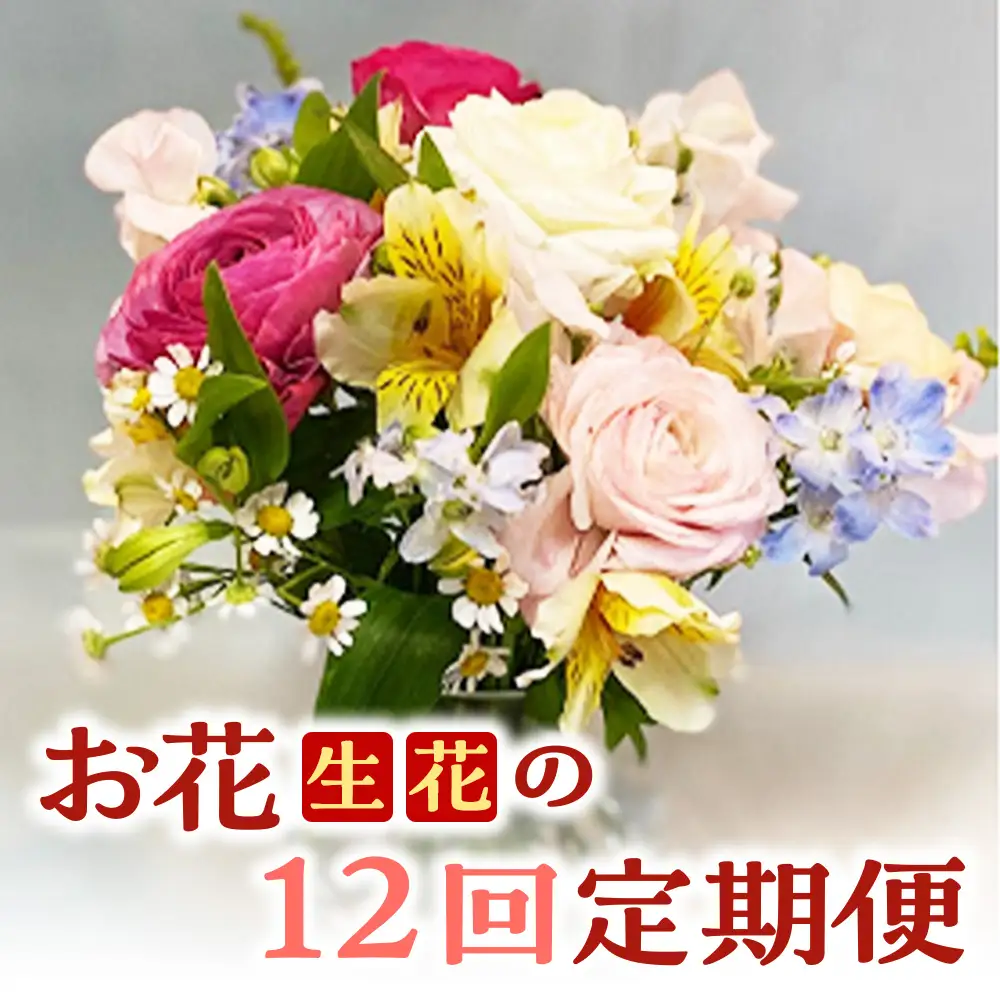 お花（生花）の12回定期便 花 定期便 生花 お花 鳥取県 倉吉市