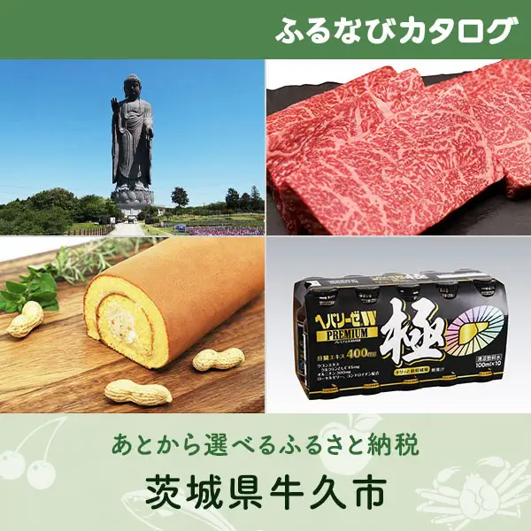 【有効期限なし！後からゆっくり特産品を選べる】茨城県牛久市カタログポイント