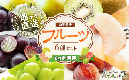 【先行受付】【6回定期便】 フルーツ王国 山梨県産 6種セット ／ えべし フルーツ 果物 くだもの 貴陽 すもも もも 桃 梨 なし ぶどう ブドウ 葡萄 シャインマスカット キウイ 新鮮 果実 産地直送 山梨県 中央市 【2027年6月中旬-2028年1月下旬発送予定】