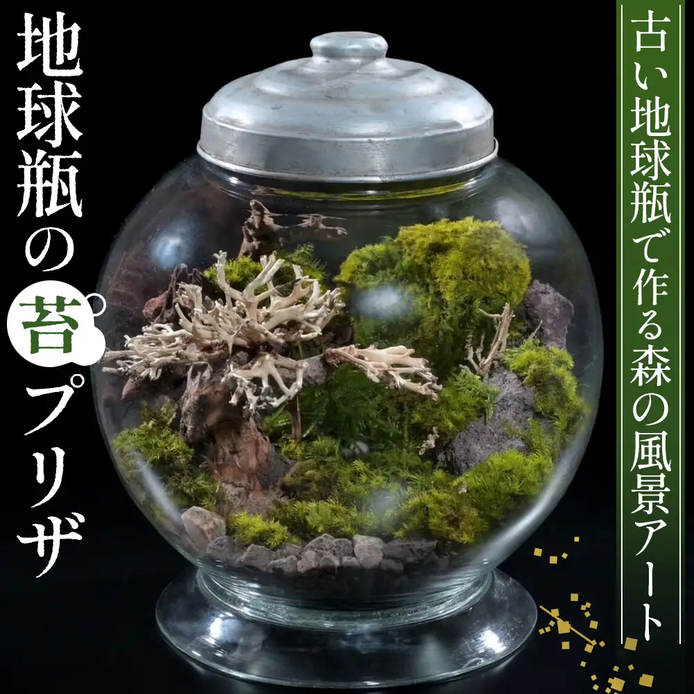 地球瓶の苔プリザ No.357