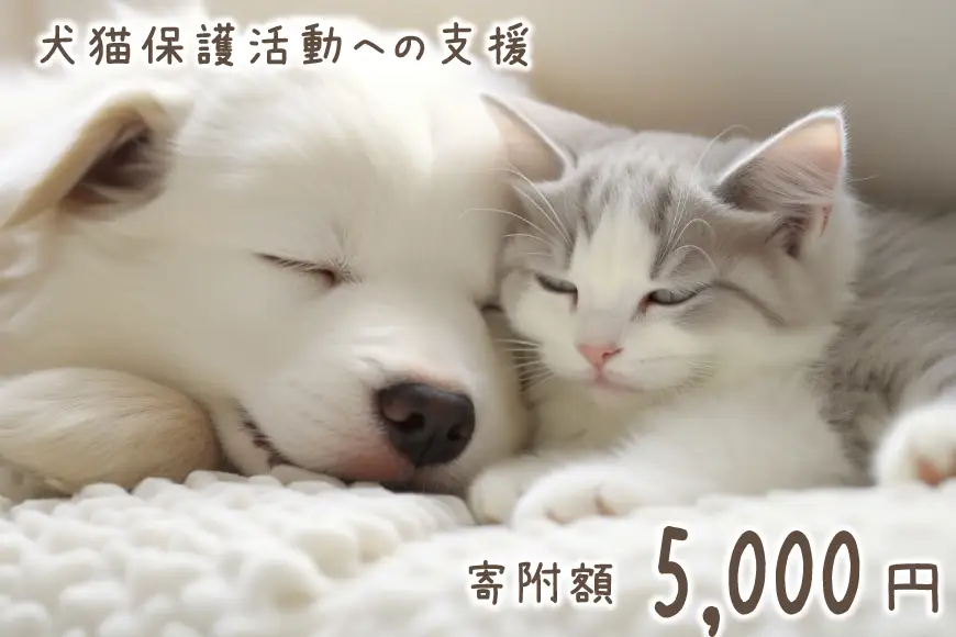 犬猫保護活動への支援 5000円