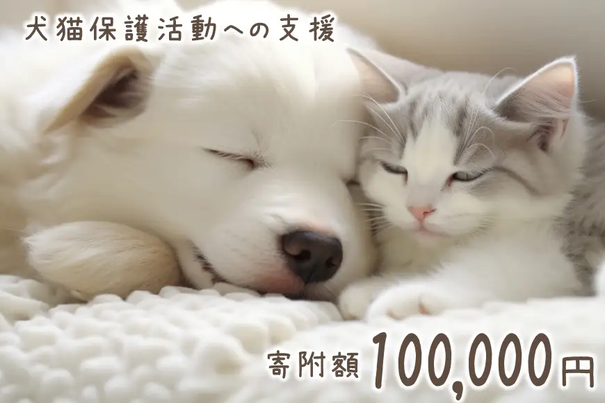 犬猫保護活動への支援 10万円