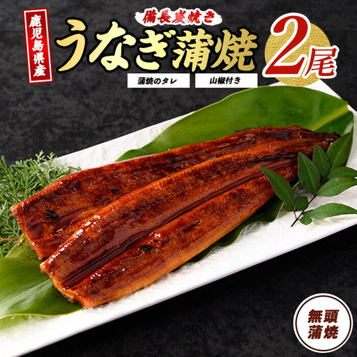 うなぎ 鹿児島県産 うなぎ 蒲焼 2尾 約270g IB020-001