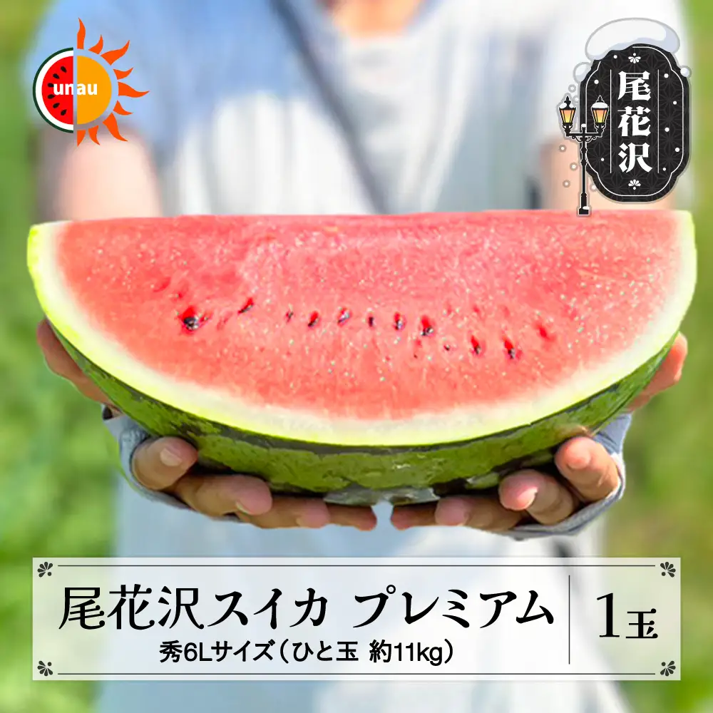 尾花沢スイカ 6Lサイズ(約11kg)×1玉 プレミアム 令和9年産 ns-su6xu1