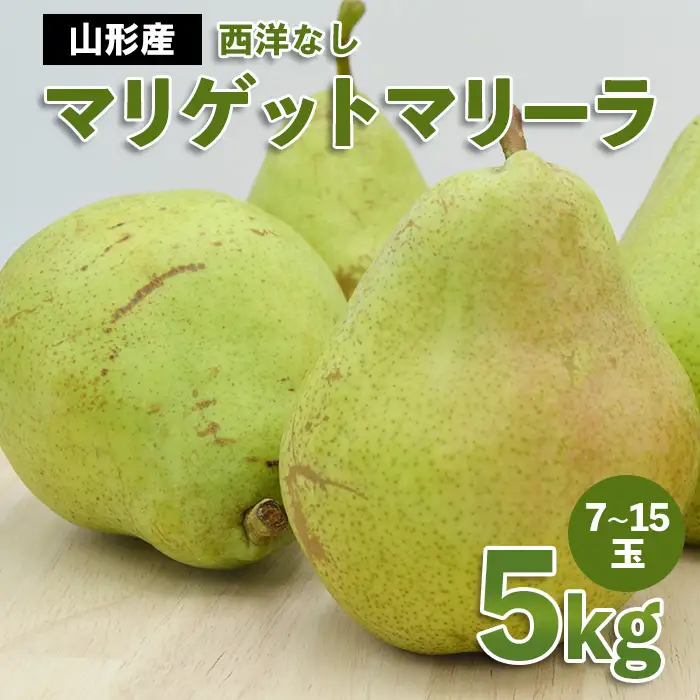 山形市産 西洋なし(マリゲットマリーラ) 秀 5kg(7玉～15玉)【令和8年産先行予約】FS23-729 くだもの 果物 フルーツ 山形 山形県 山形市 2026年産