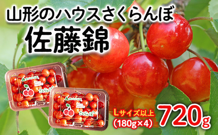 山形のハウスさくらんぼ 佐藤錦 720g(180g×4パック) Lサイズ以上 【令和9年産先行予約】FS25-510