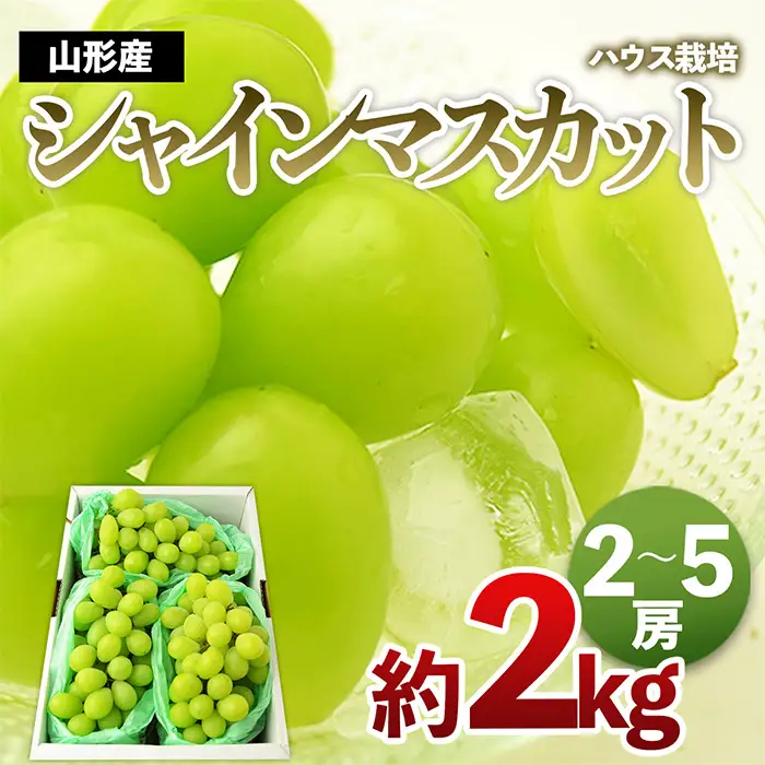 [ハウス栽培]山形のシャインマスカット 秀品 約2kg(2～5房)【令和8年産先行予約】FS24-640 くだもの 果物 フルーツ 山形 山形県 山形市 2026年産