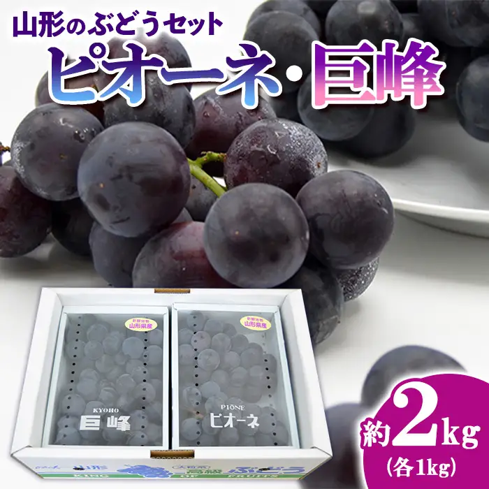 山形のぶどうセット 秀品 約2kg(ピオーネ約1kg2房前後・巨峰約1kg2房前後)[9月中旬～10月中旬お届け]【令和8年産先行予約】FS24-572 くだもの 果物 フルーツ 山形 山形県 山形市 2026年産