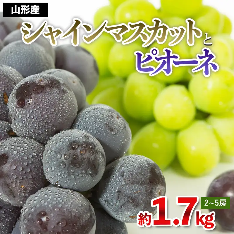 やまがたのぶどう シャインマスカット＆ピオーネ 秀品 約1.7kg(2～5房程度)【令和8年産先行予約】FS23-752 くだもの 果物 フルーツ 山形 山形県 山形市 2026年産
