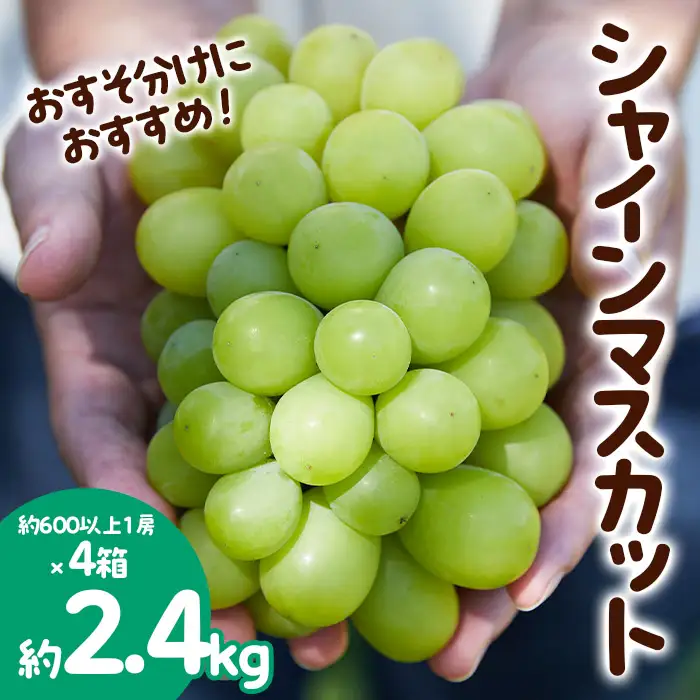 おすそ分けにおすすめ！シャインマスカット 秀品 約2.4kg(約600g1房×4箱) 【令和8年産先行予約】FS23-770 くだもの 果物 フルーツ 山形 山形県 山形市 2026年産