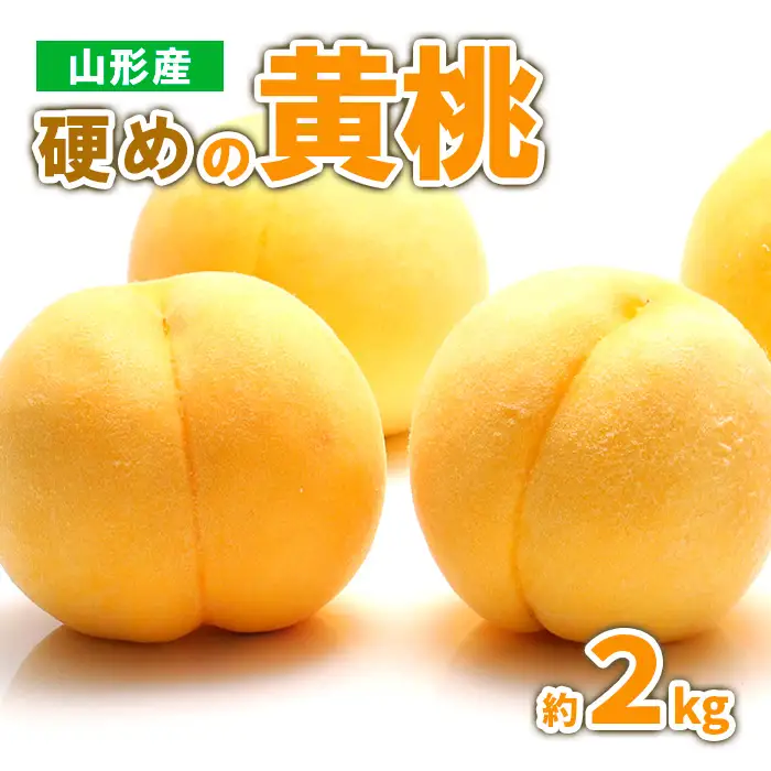 山形産 硬めの黄桃　約２kg（4～9玉)秀品 【令和8年産先行予約】FS23-778 くだもの 果物 フルーツ 山形 山形県 山形市 2026年産