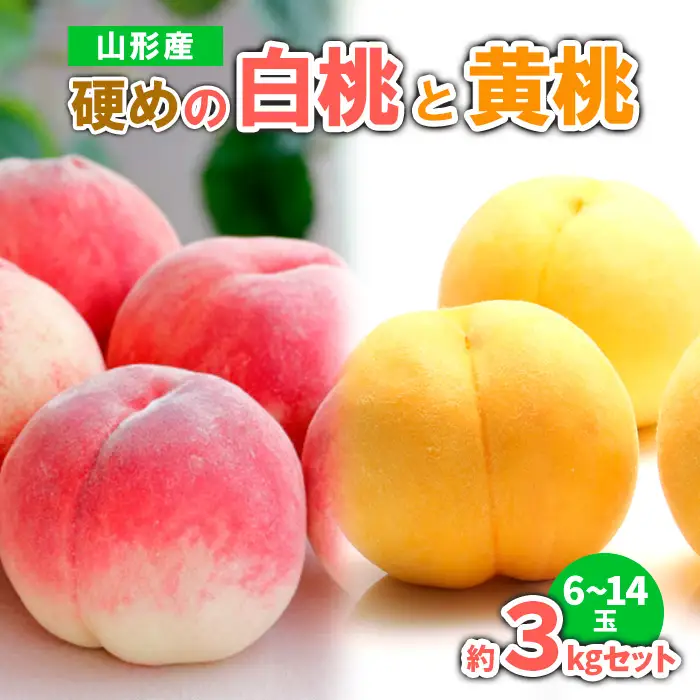 山形産 硬めの白桃と黄桃　約３kgセット（6～14玉)　秀品  【令和8年産先行予約】FS23-779 くだもの 果物 フルーツ 山形 山形県 山形市 2026年産