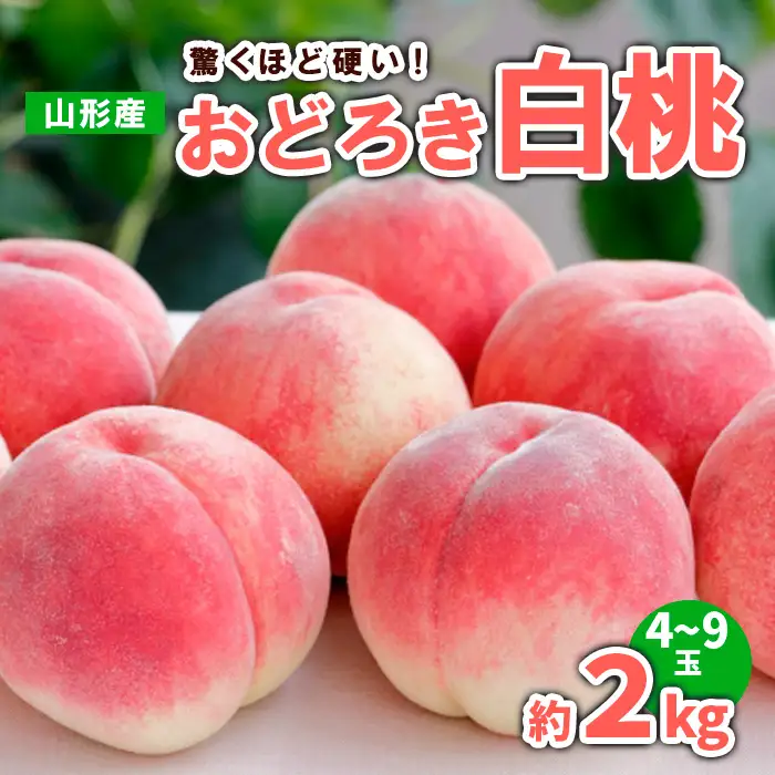 山形産 おどろき 白桃  秀 約2kg(4～9玉)【令和8年産先行予約】FS23-780 くだもの 果物 フルーツ 山形 山形県 山形市 2026年産