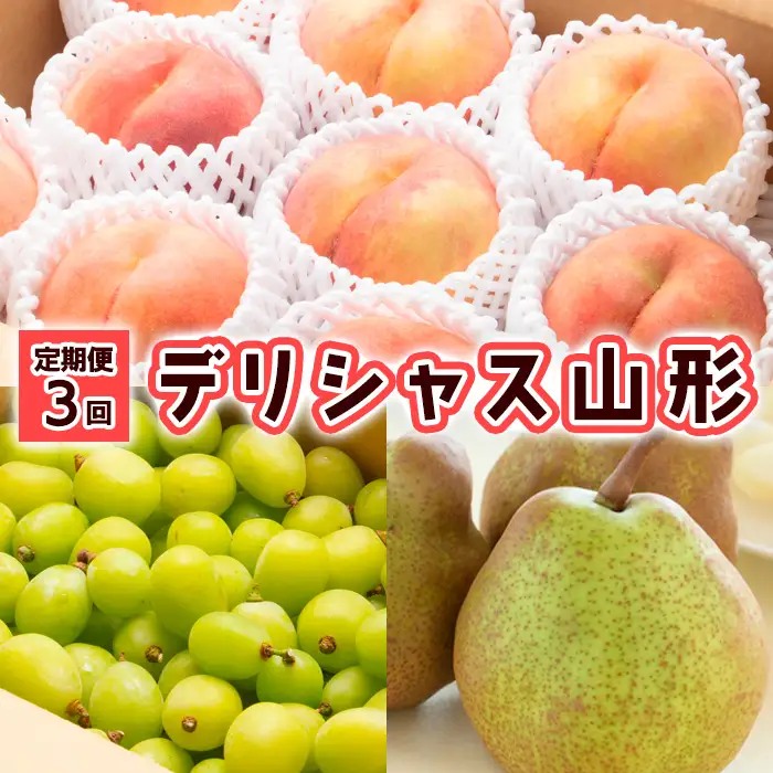 【定期便3回】デリシャス山形【令和8年産先行予約】FU23-799 くだもの 果物 フルーツ 山形 山形県 山形市 2026年産