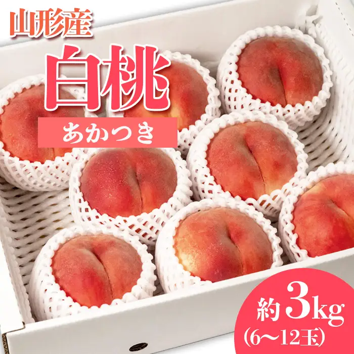 やまがたの桃(白桃) あかつき 秀品 約3kg(6～12玉程度) 【令和8年産先行予約】FS23-810 くだもの 果物 フルーツ 山形 山形県 山形市 2026年産