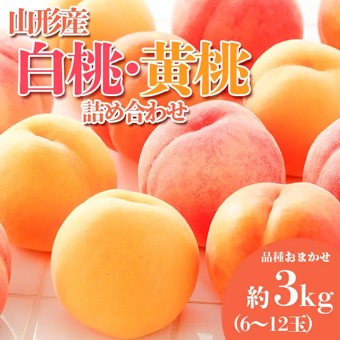 やまがたの桃(白桃・黄桃詰合せ)  品種お任せ 白桃＆黄桃 秀品 約3kg(6～12玉程度) 【令和8年産先行予約】FS23-813 くだもの 果物 フルーツ 山形 山形県 山形市 2026年産