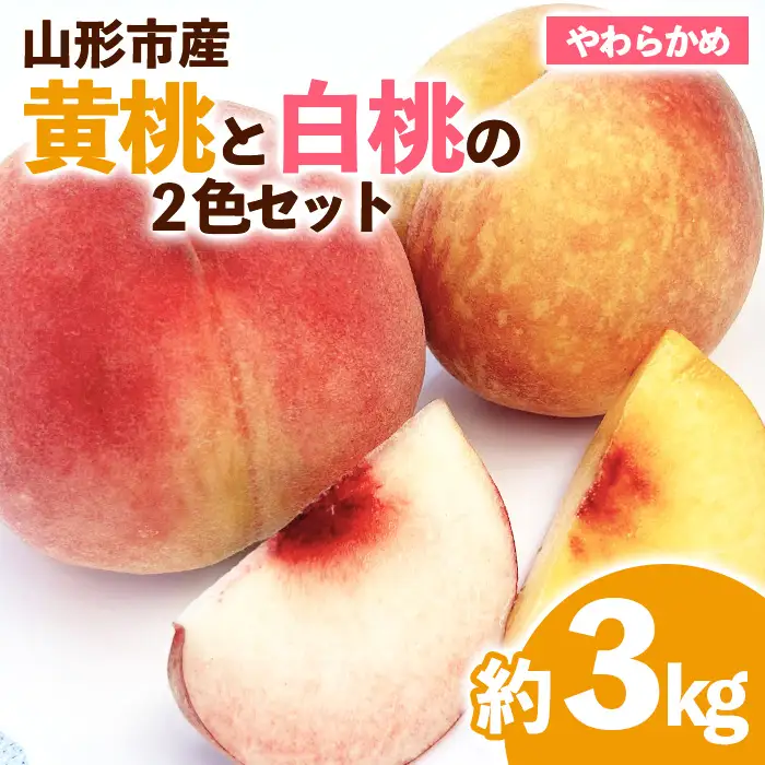 山形市産 黄桃と白桃（柔らかめ）の2色セット 秀 3kg 【令和8年産先行予約】FS23-822 くだもの 果物 フルーツ 山形 山形県 山形市 2026年産