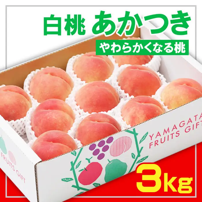 ☆フルーツ王国山形☆白桃あかつき秀品 3kg [やわらかくなる桃]【令和8年産先行予約】FS23-823 くだもの 果物 フルーツ 山形 山形県 山形市 2026年産