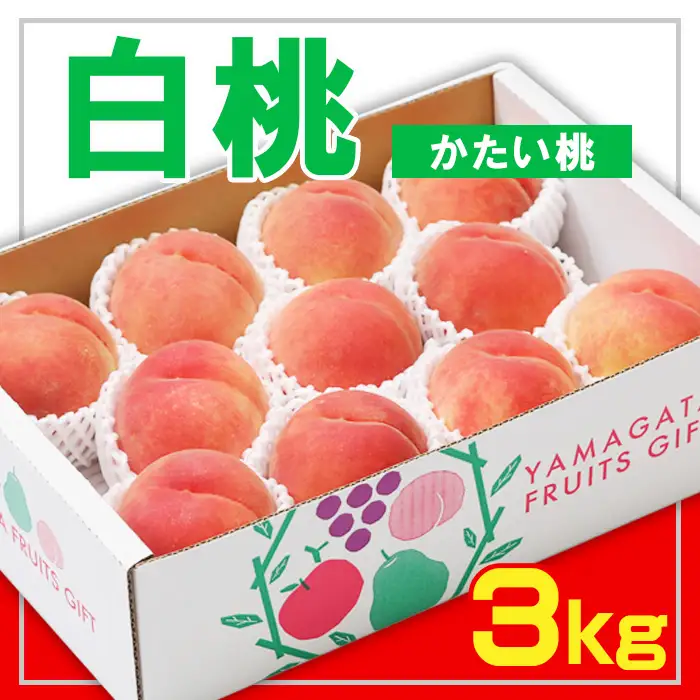 ☆フルーツ王国山形☆白桃 秀品 3kg [かたい桃]【令和8年産先行予約】FS23-824 くだもの 果物 フルーツ 山形 山形県 山形市 2026年産