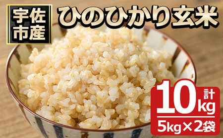 ＜令和7年産＞ひのひかり 玄米(計10kg)お米 10キロ ヒノヒカリ 真空パック 真空包装【114900304】【祥田産業】