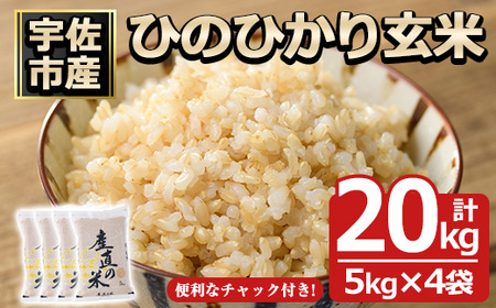 ＜令和7年産＞ひのひかり 玄米(計20kg)お米 20キロ ヒノヒカリ 真空パック 真空包装 【114900600】【祥田産業】