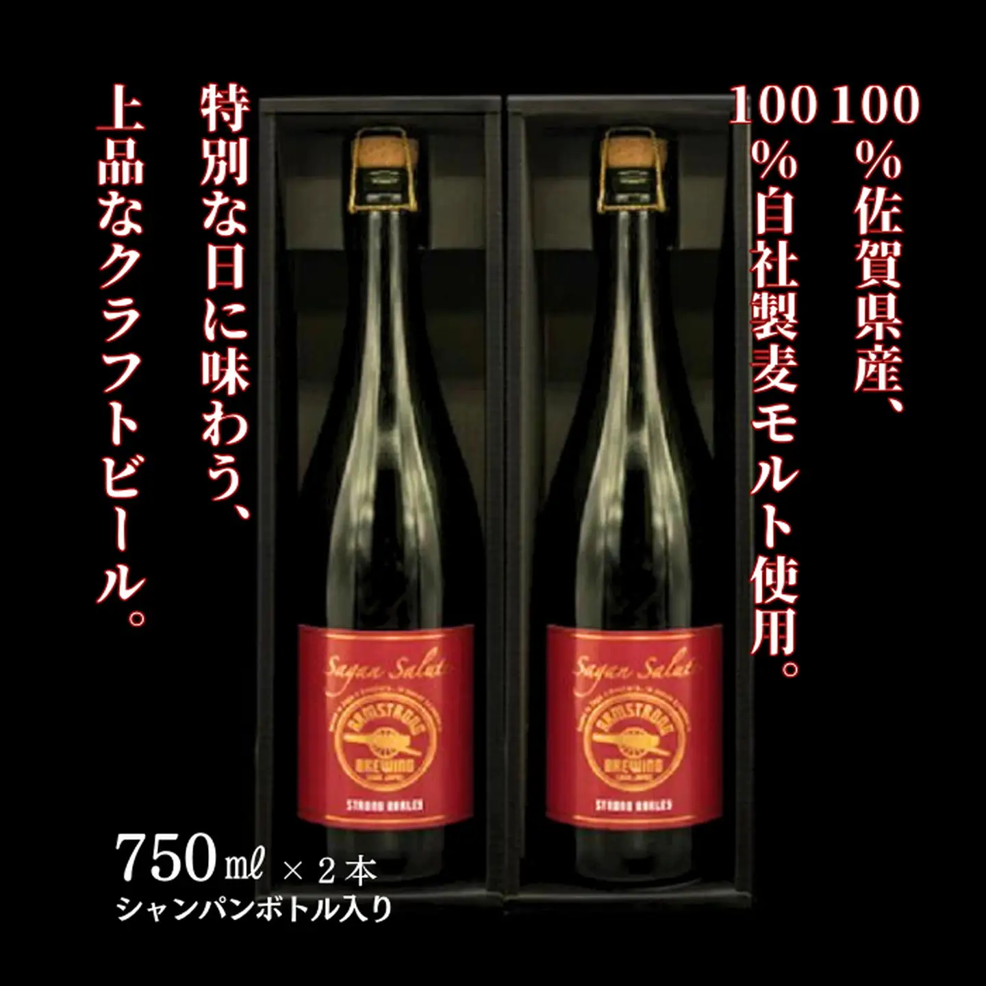 佐賀のクラフトビール〈サガン・サリュート〉ストロングバーレー 2本組：B245-005