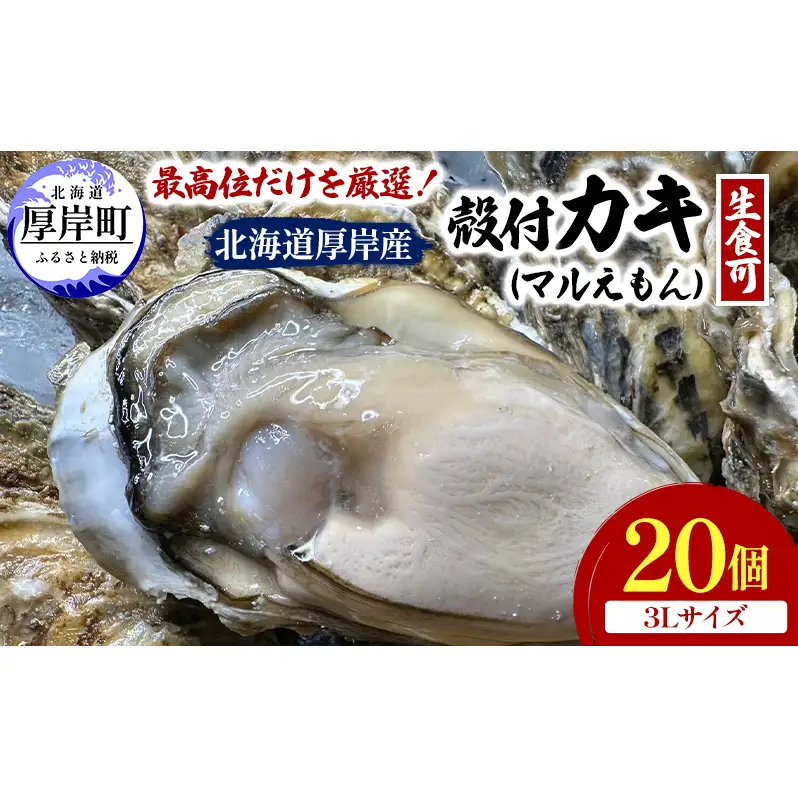 殻付き 牡蠣 3Lサイズ 20個 【光輝】マルえもん 生食用 牡蠣