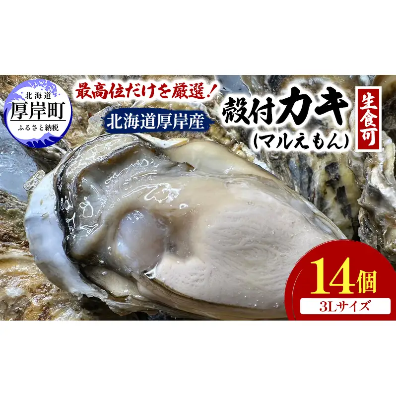 北海道 厚岸産 ブランド牡蠣 マルえもん 殻付き 牡蠣 3Lサイズ 14個 【光輝】 [ 魚貝類 生牡蠣 海鮮 海の幸 生食用牡蠣 生食用 生食用殻付き牡蠣 濃厚 甘み  オイスター ]  