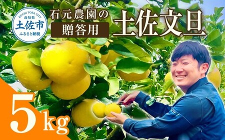 【先行予約】石元農園の土佐文旦 贈答用 約5kg（7?12玉） 高知県土佐市 【石元農園】 [BQBH003]
