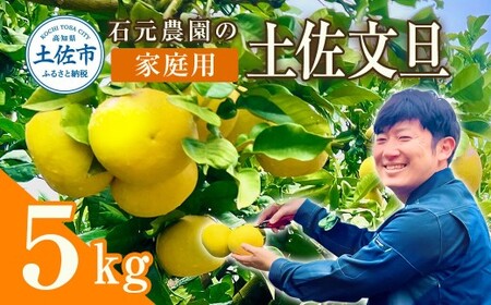 【先行予約】石元農園の土佐文旦 家庭用 約5kg（7?12玉） 高知県土佐市 【石元農園】 [BQBH001]